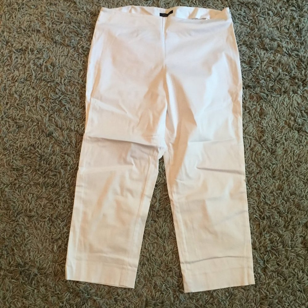 Beautiful Jones New York stretch capris, sz 12P